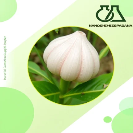 Guar Gum
